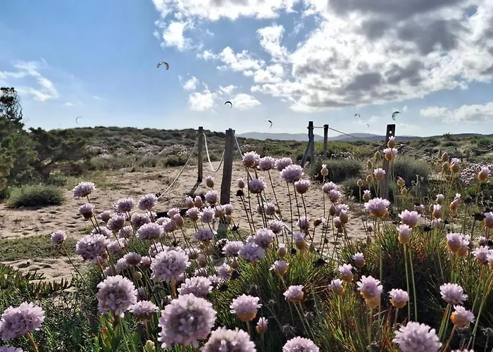 Fronte Mare Palau, Porto Turistico E Palau